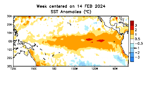 Pacific ocean animated temperature anomalies in past 12 weeks