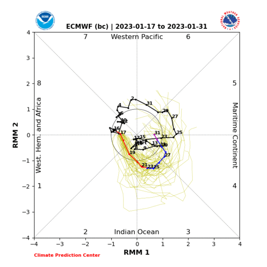 ECMWF Forecast