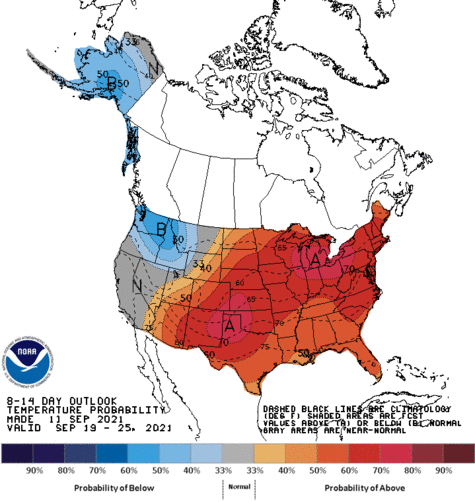 814temp.new.small.gif