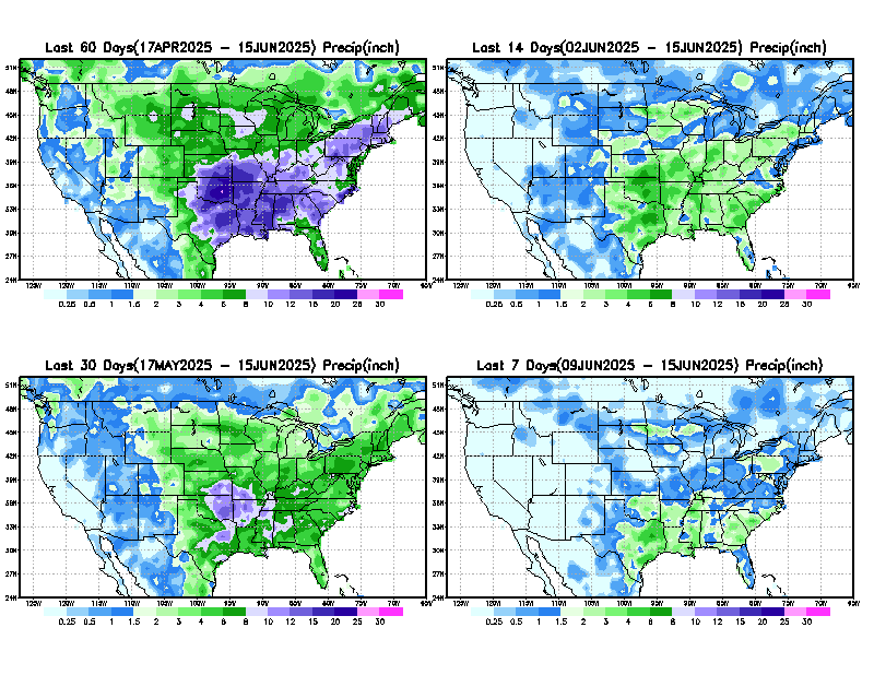 US 4 panel 1wk - 2months 