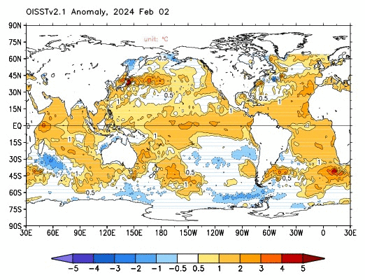 Animazione delle temperature superficiali degli oceani negli ultimi due mesi