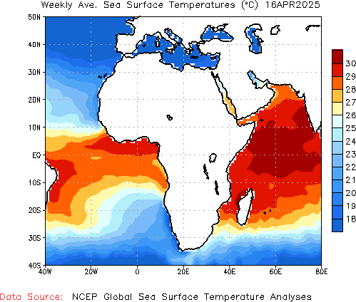 Weekly SST