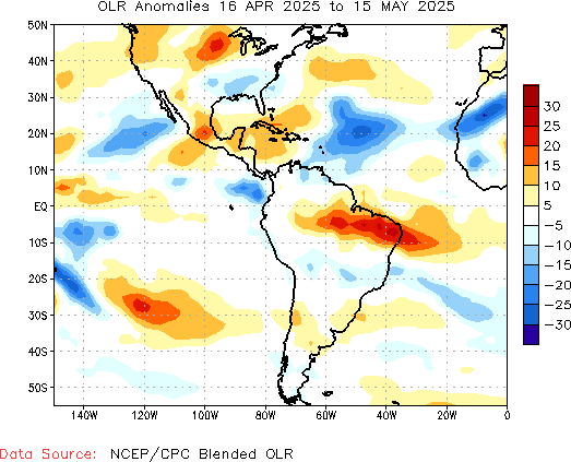 Monthly Anomaly OLR