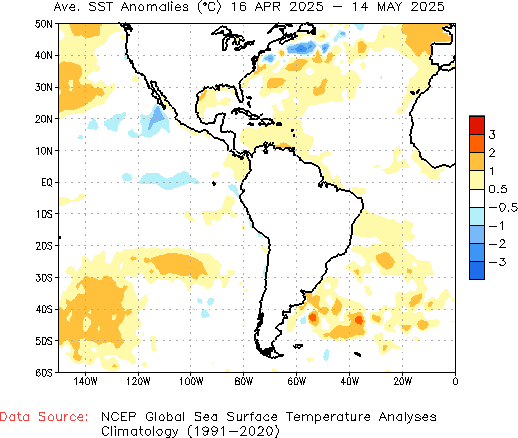 Monthly SST