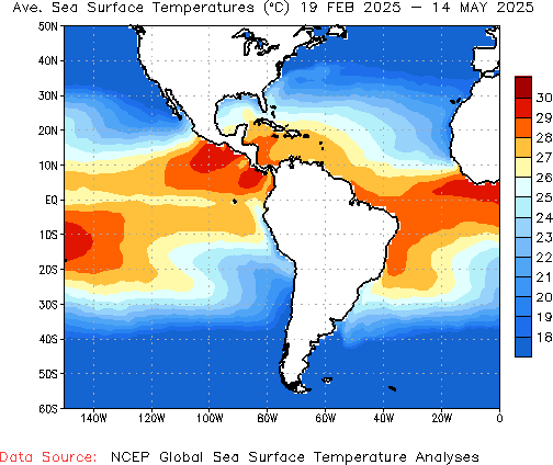 Seasonal SST