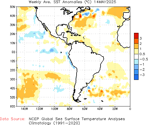 Weekly SST