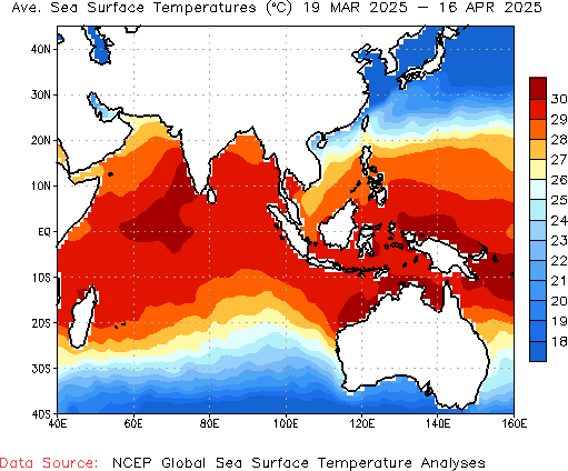 Monthly SST