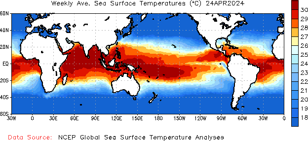 1-Week Sea Surface Temperature