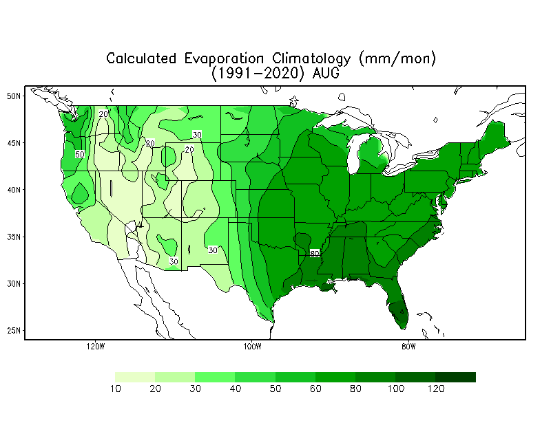 AUGUST Evaporation Climatology (mm)