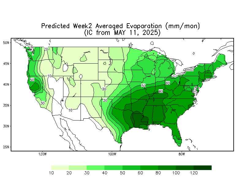 Week 1 Soil Moisture Anomaly