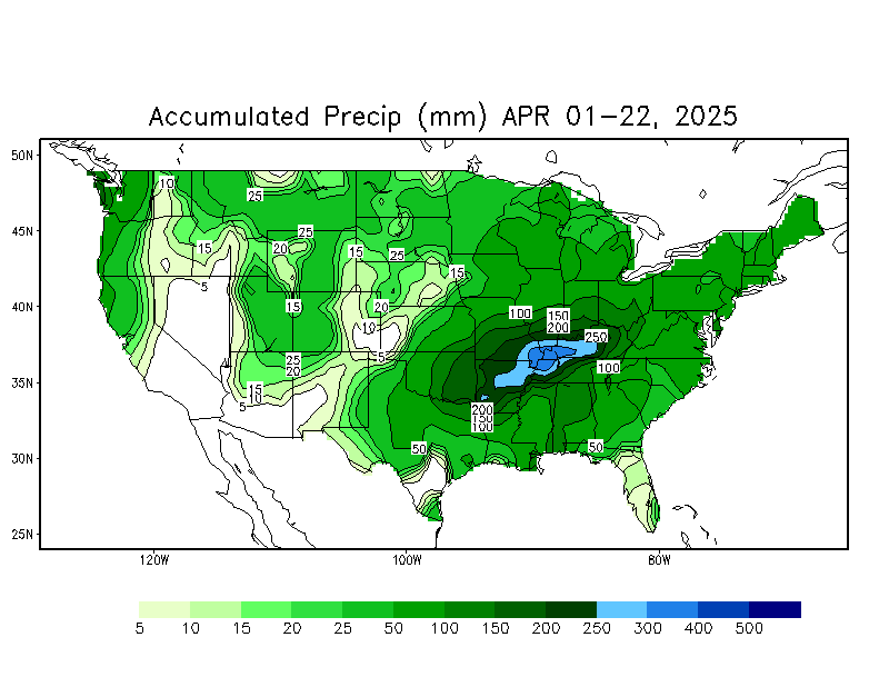 Daily Total Precipitation (mm)