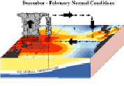 Circulation Pattern