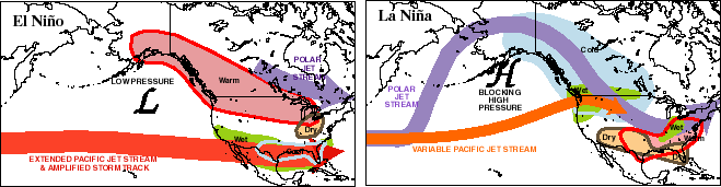 El Niño and La Niña - related winter features over North America