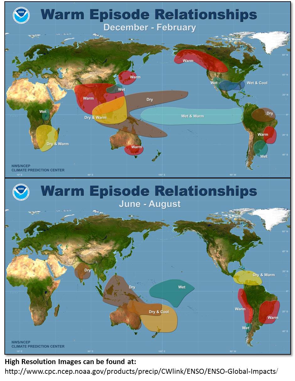 Typical Impacts of Warm (El Nino/Southern Oscillation - ENSO) and Cold  Episodes
