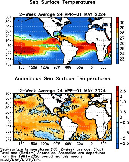 Atlantic 11 Day Moving Average Observed Sea Surface Temperatures