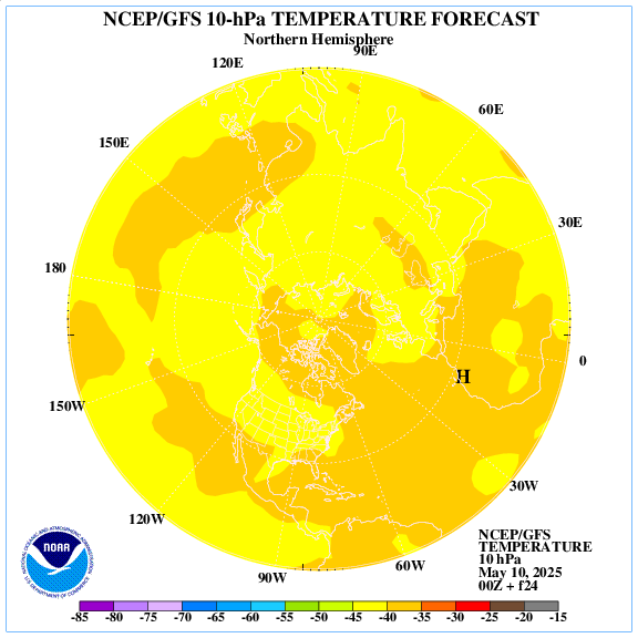 +24 hours forecast of the 10 hPa temperature on northern emisphere