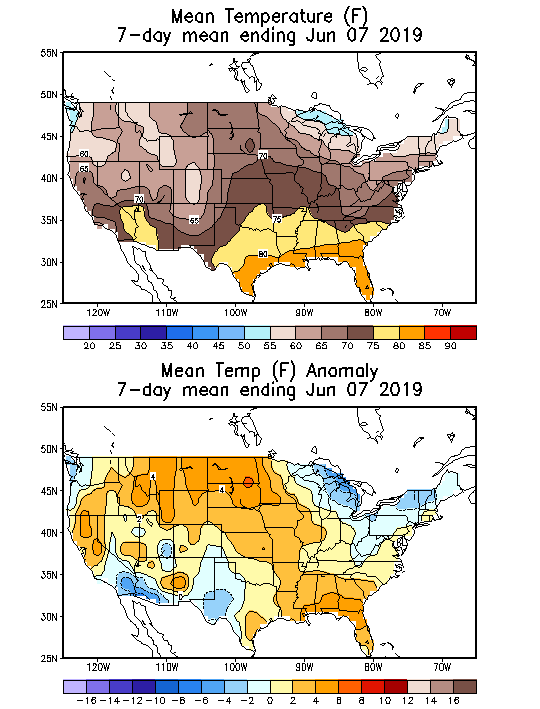 https://www.cpc.ncep.noaa.gov/products/tanal/7day/mean/20190607.7day.mean.F.gif